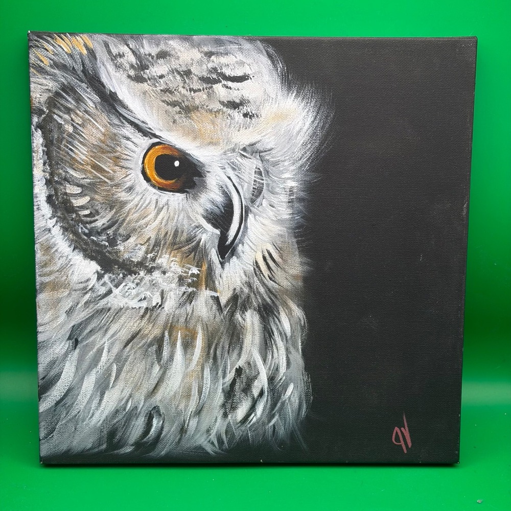 Owl Portrait Acrylic Painting 12x12 Canvas Wildlife Bird Art PV Signed Original